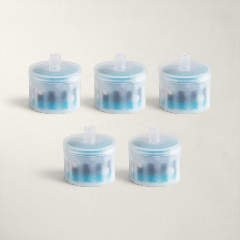 Lot de 5 cartouches filtrantes Bofélin en coton et charbon actif pour fontaines à eau en céramique pour chats