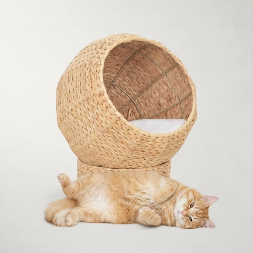 Niche boule pour chat Bofélin en herbier marin tressé naturel avec coussin confortable et chat roux allongé devant