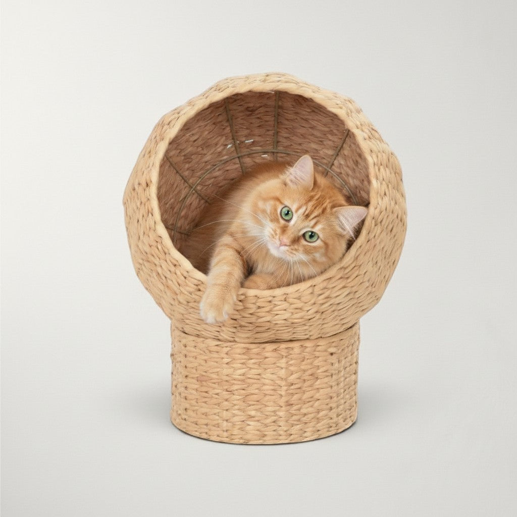 Niche boule pour chat Bofélin en herbier marin tressé naturel avec coussin confortable et chat roux à l'intérieur