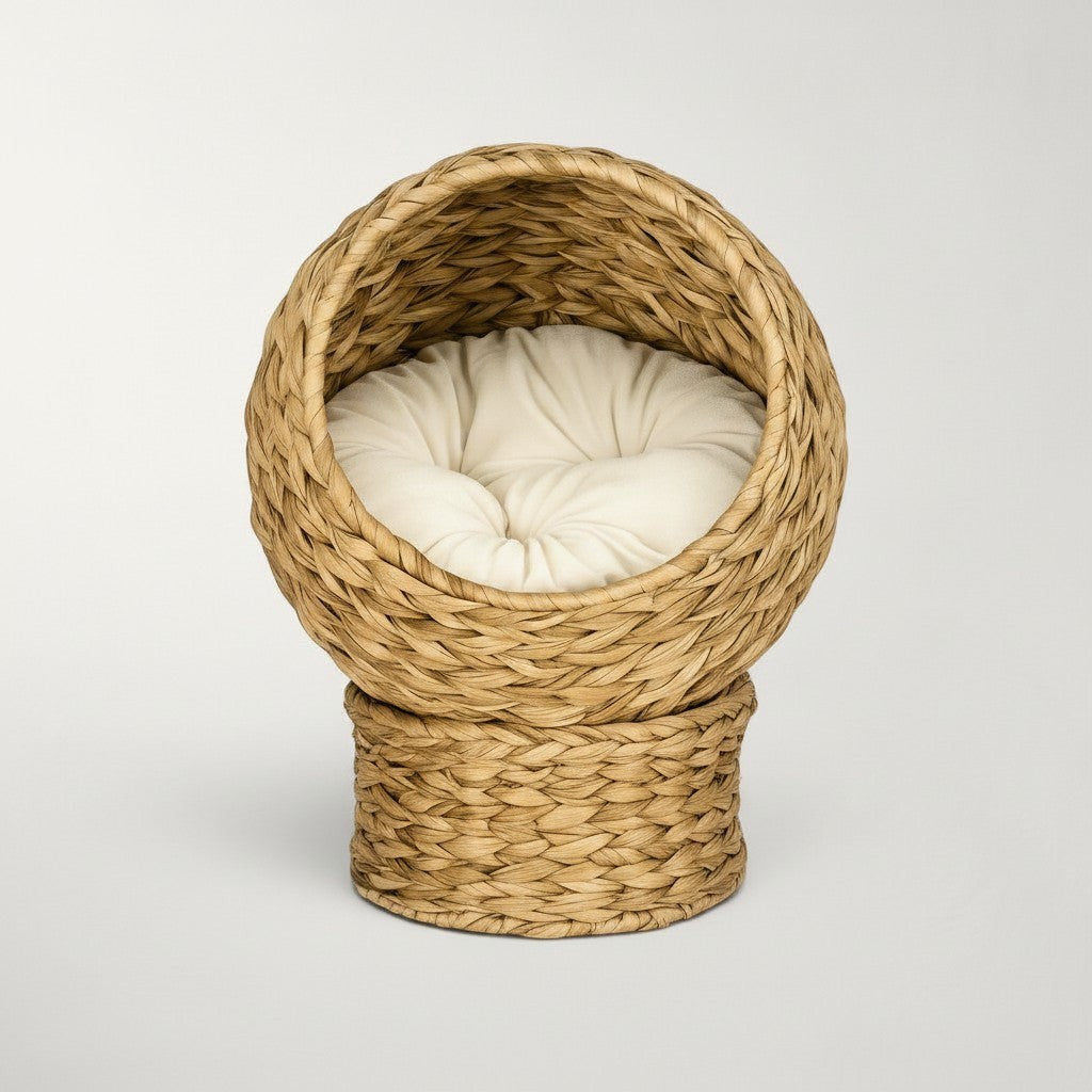 Niche bulle pour chat Bofélin en jacinthe d'eau tressée avec coussin crème confortable sur socle cylindrique