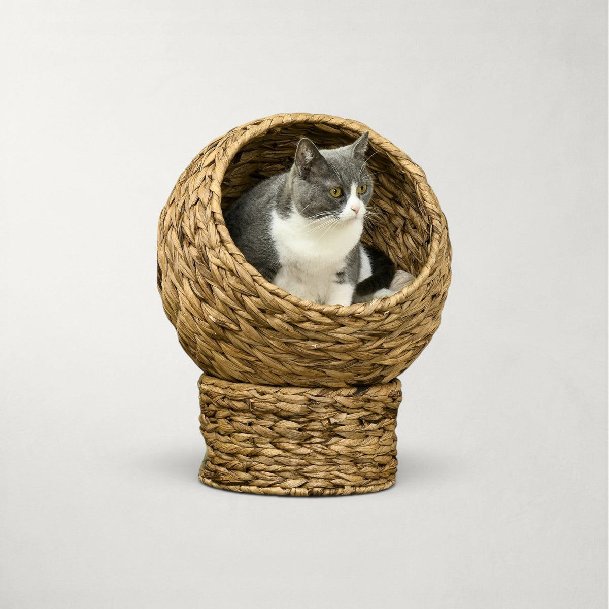 Niche bulle Bofélin en jacinthe d'eau tressée avec chat gris et blanc installé à l'intérieur sur un socle cylindrique