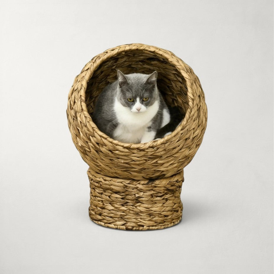 Niche bulle Bofélin en jacinthe d'eau tressée avec coussin crème pour chat sur socle cylindrique