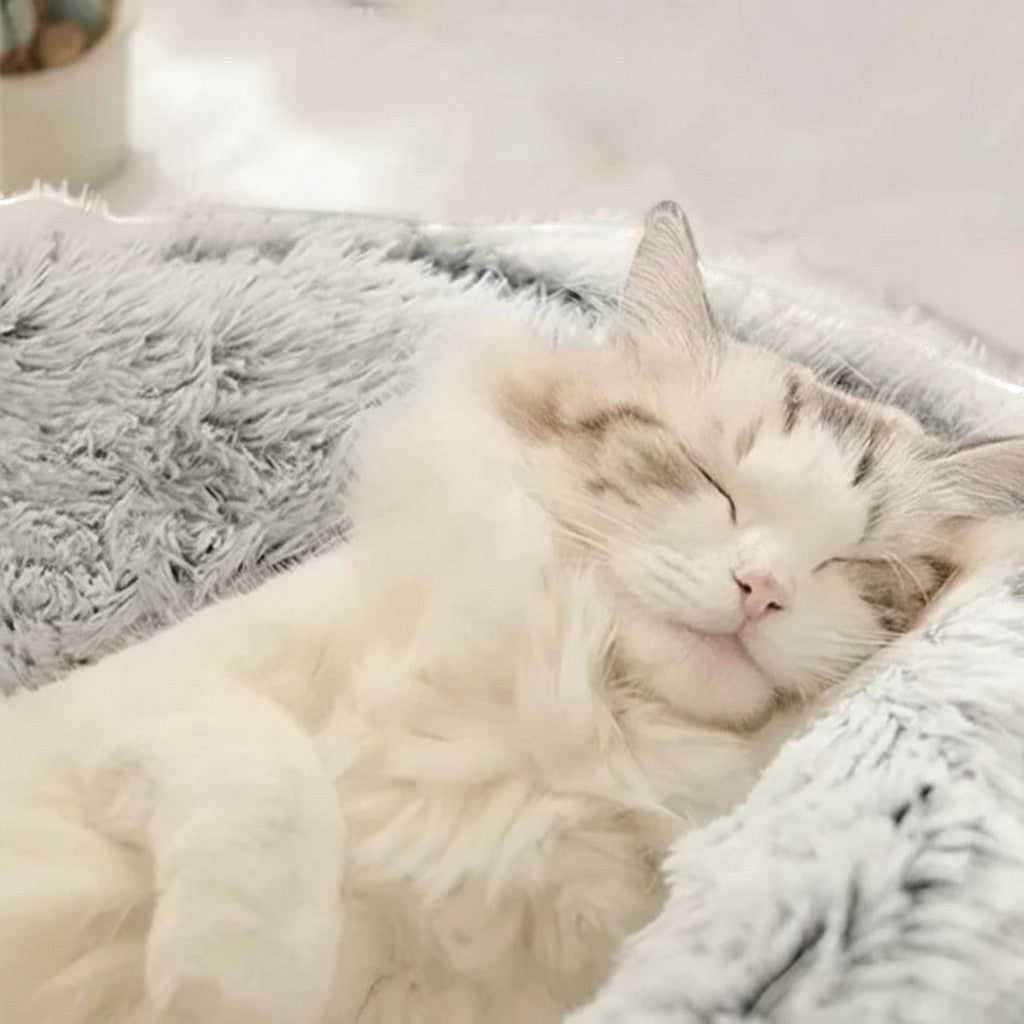Chat blanc endormi confortablement dans une niche Bofélin en fausse fourrure grise très douce et moelleuse