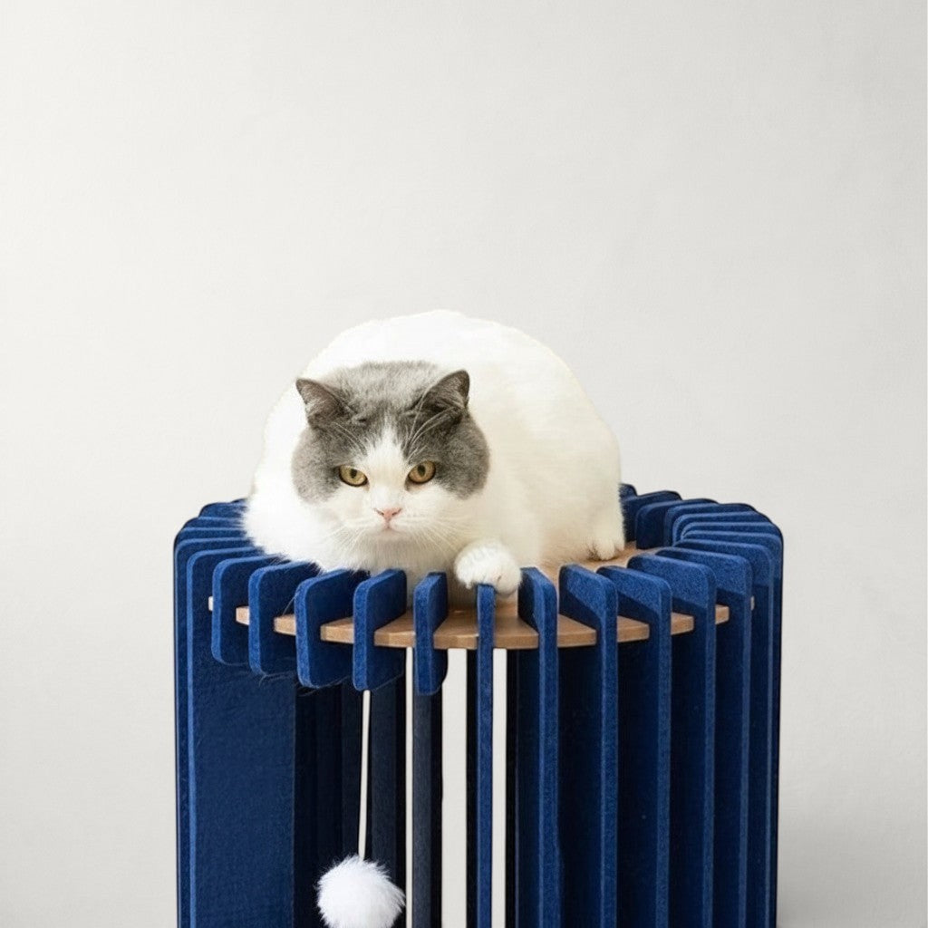 Chat gris et blanc assis sur une niche Bofélin cylindrique en feutre bleu nuit et bois avec pompon suspendu