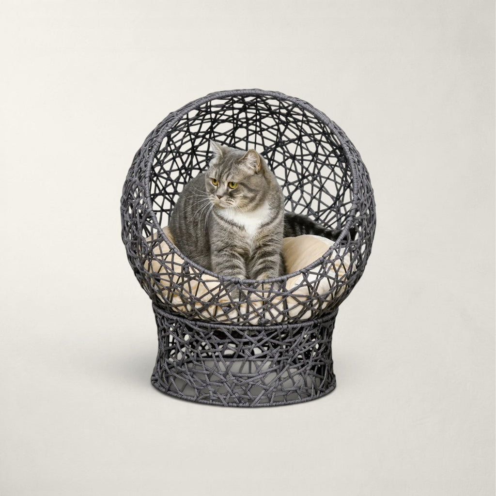 Niche Bofélin en forme d'œuf gris anthracite avec coussin crème, structure en corde tressée et chat gris assis