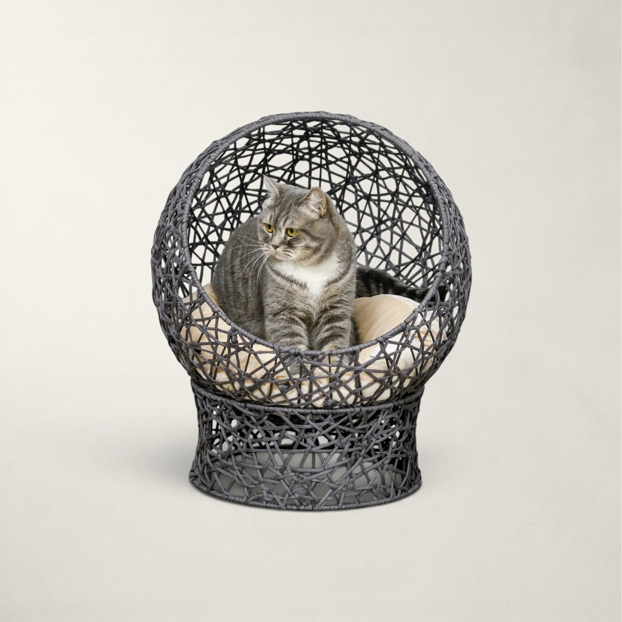 Niche Bofélin en forme d'œuf gris anthracite avec coussin crème, structure en corde tressée et chat gris assis Image