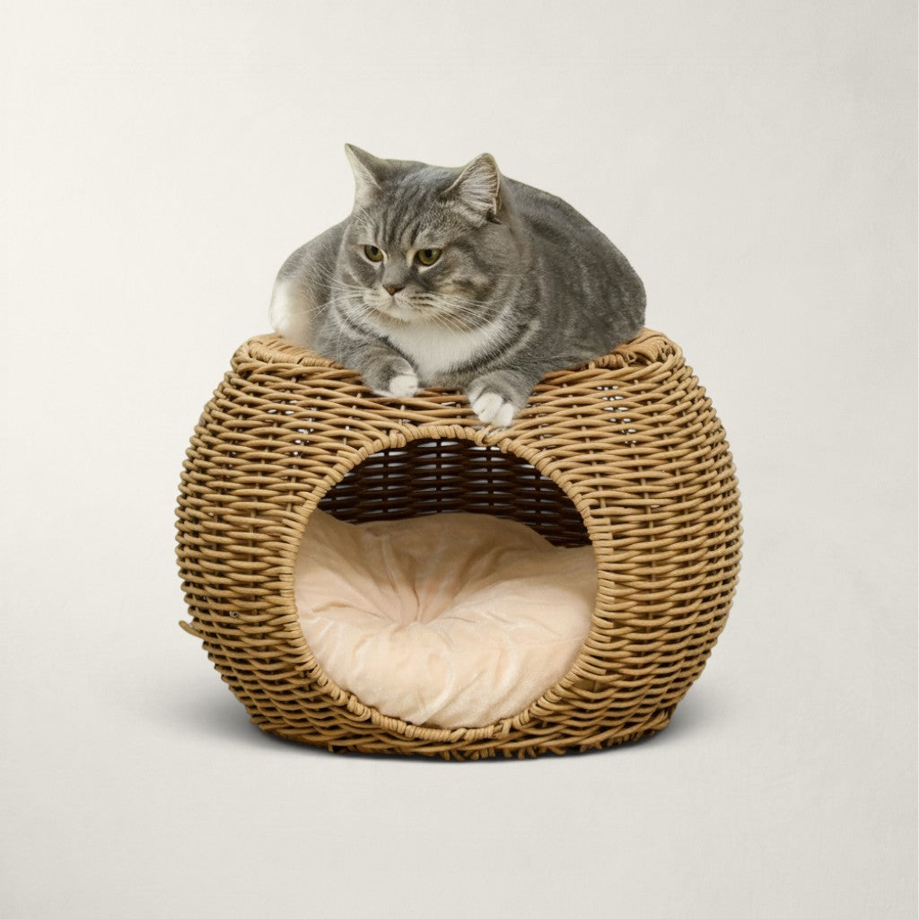 Niche pour chat Bofélin ronde en résine tressée marron avec coussin intérieur et chat gris couché sur le dessus