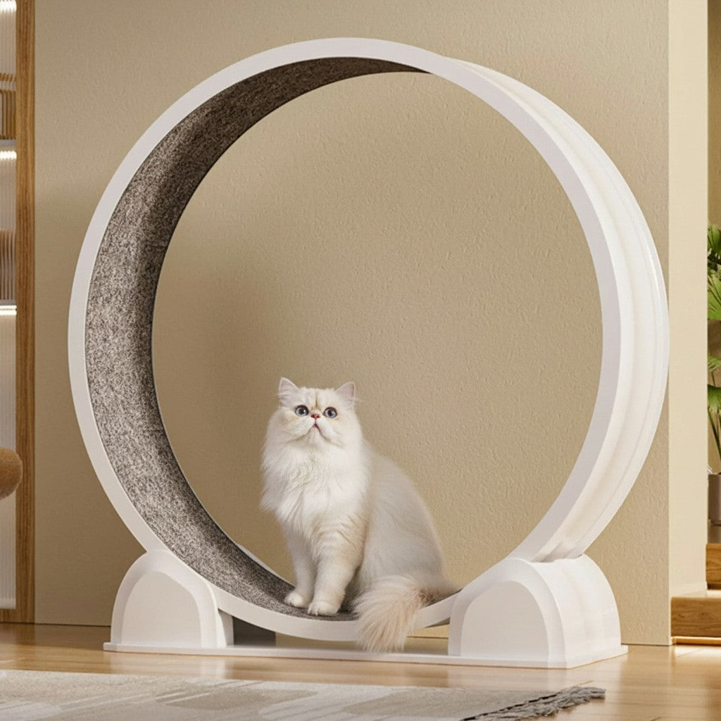 Roue d'exercice Bofélin pour chat avec tapis gris amovible et podomètre, idéale pour l'activité physique intérieure.