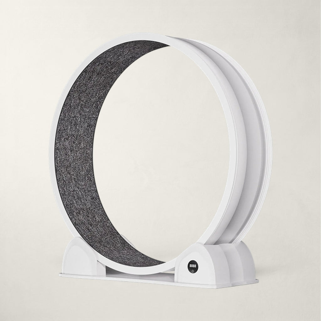 Roue d'exercice Bofélin pour chat avec tapis de course gris amovible et podomètre intégré sur socle blanc