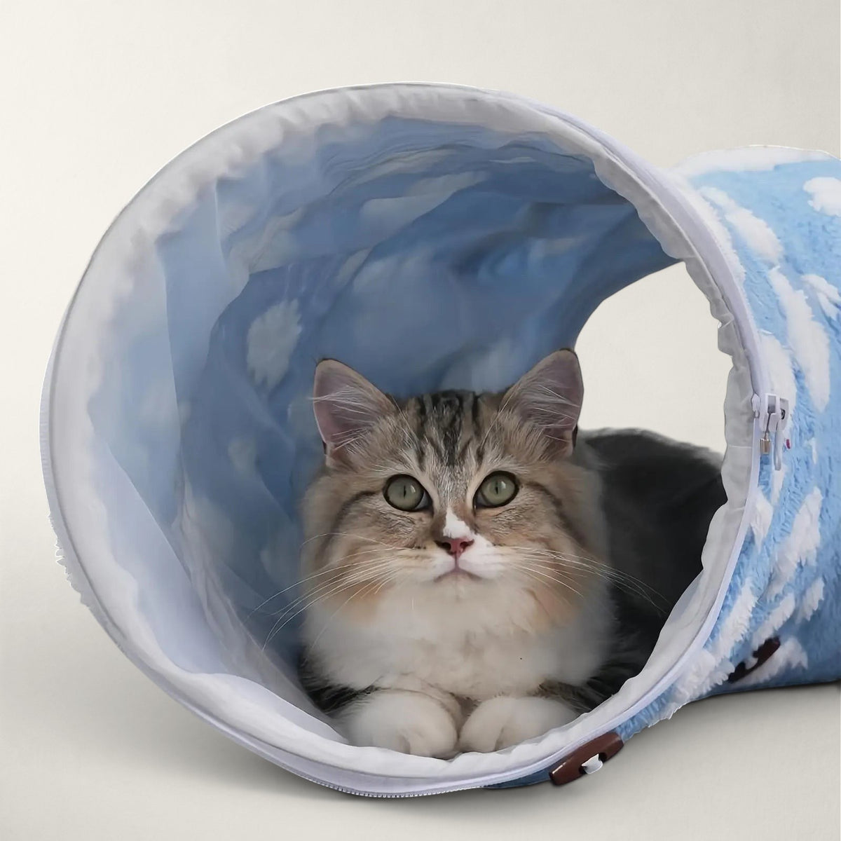 Chaton assis dans un tunnel Bofélin bleu en velours doux avec motif nuages et coussin intérieur confortable