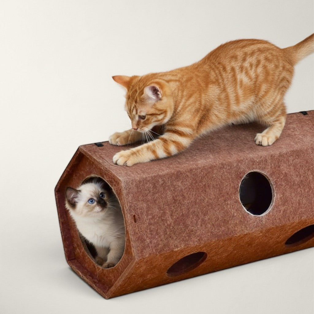 Tunnel de jeu Bofélin en feutre marron avec deux chatons jouant à l'intérieur et sur le dessus du tube hexagonal