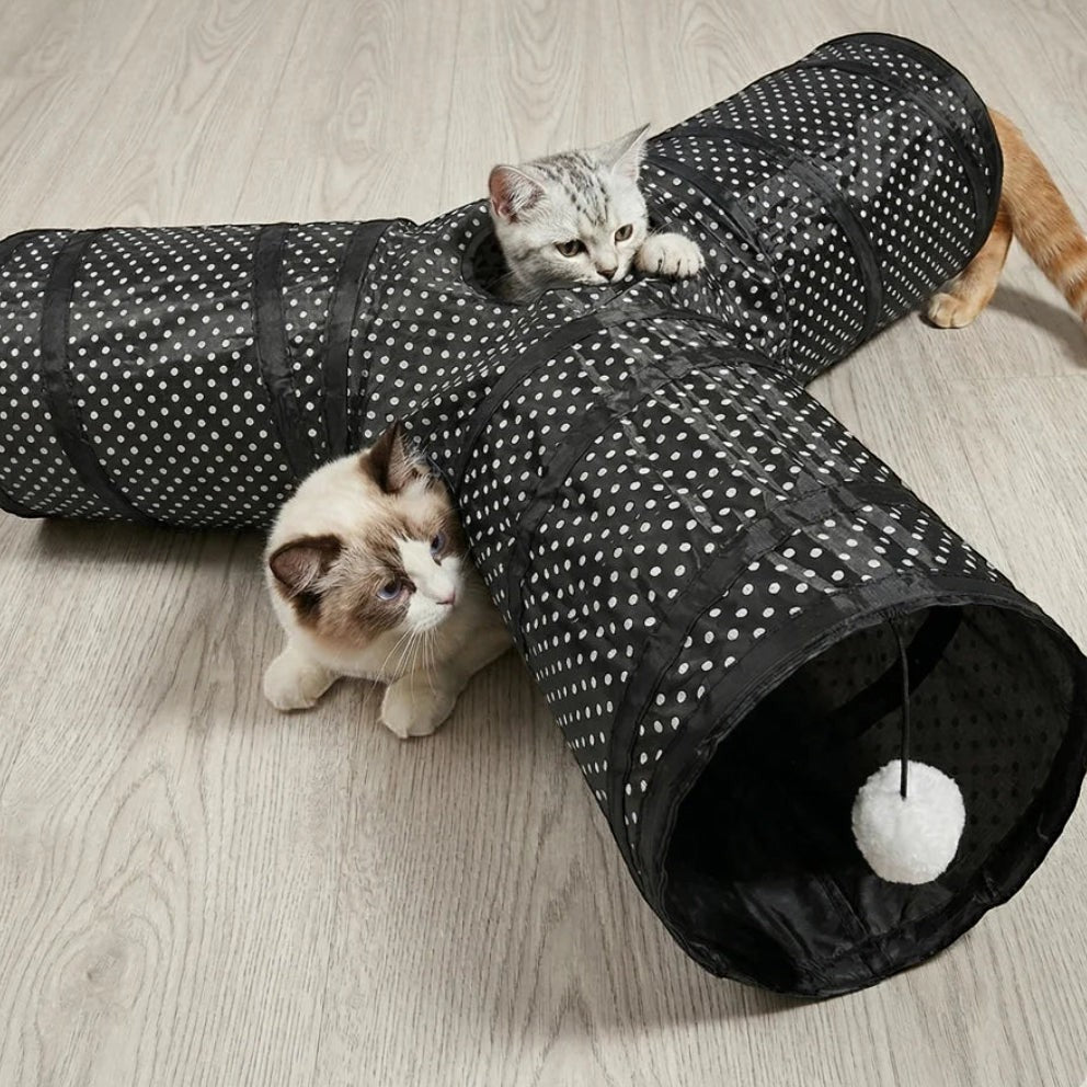 Tunnel de jeu Bofélin en forme de Y pour chats, noir à pois blancs avec balle suspendue et deux chats à l'intérieur.