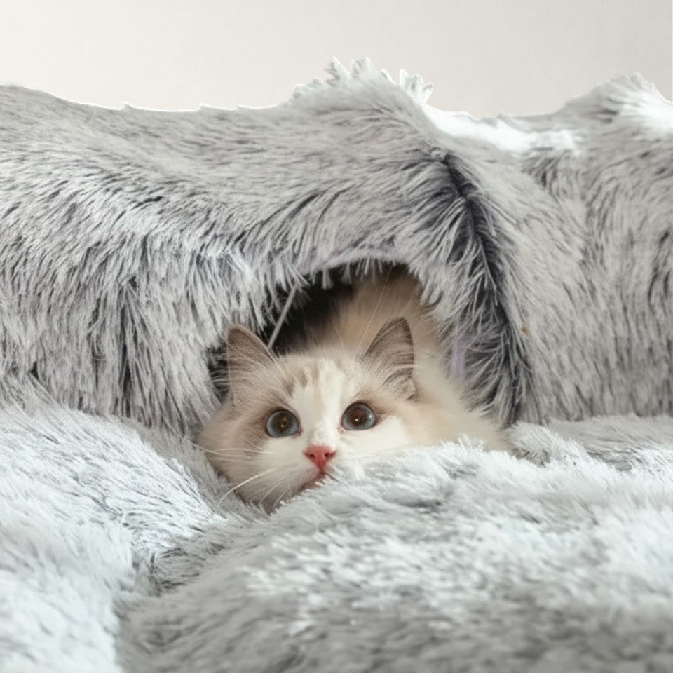 Chat Ragdoll aux yeux bleus caché dans un tunnel panier XXL gris en fausse fourrure shaggy de Bofélin