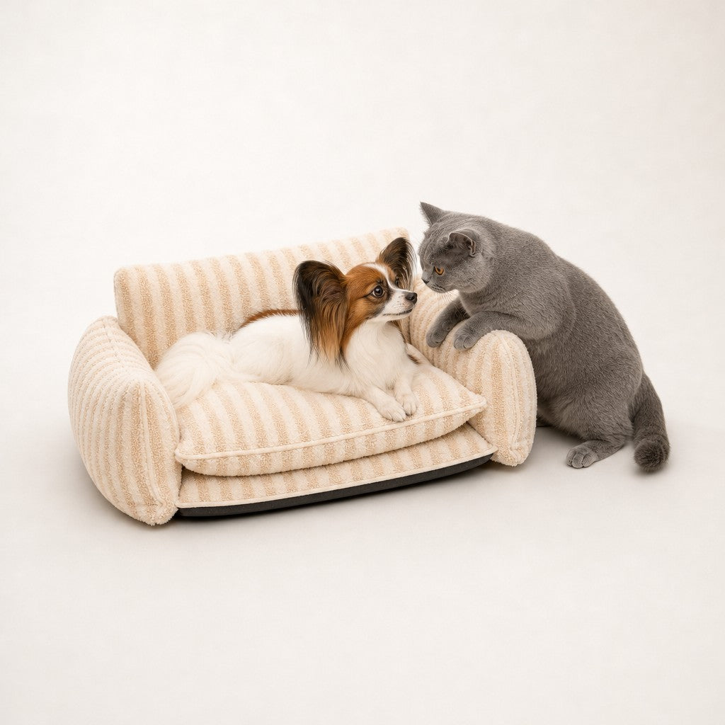 Canapé pour chat rayé Biarritz Bofélin 20 Image