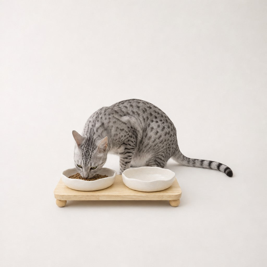 Double gamelle chat sur plateau bambou Uzes Bofélin 7