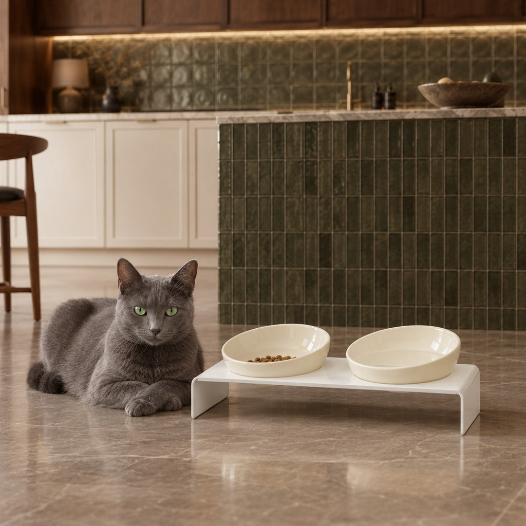 Double gamelle inclinée chat Zurich Bofélin 17