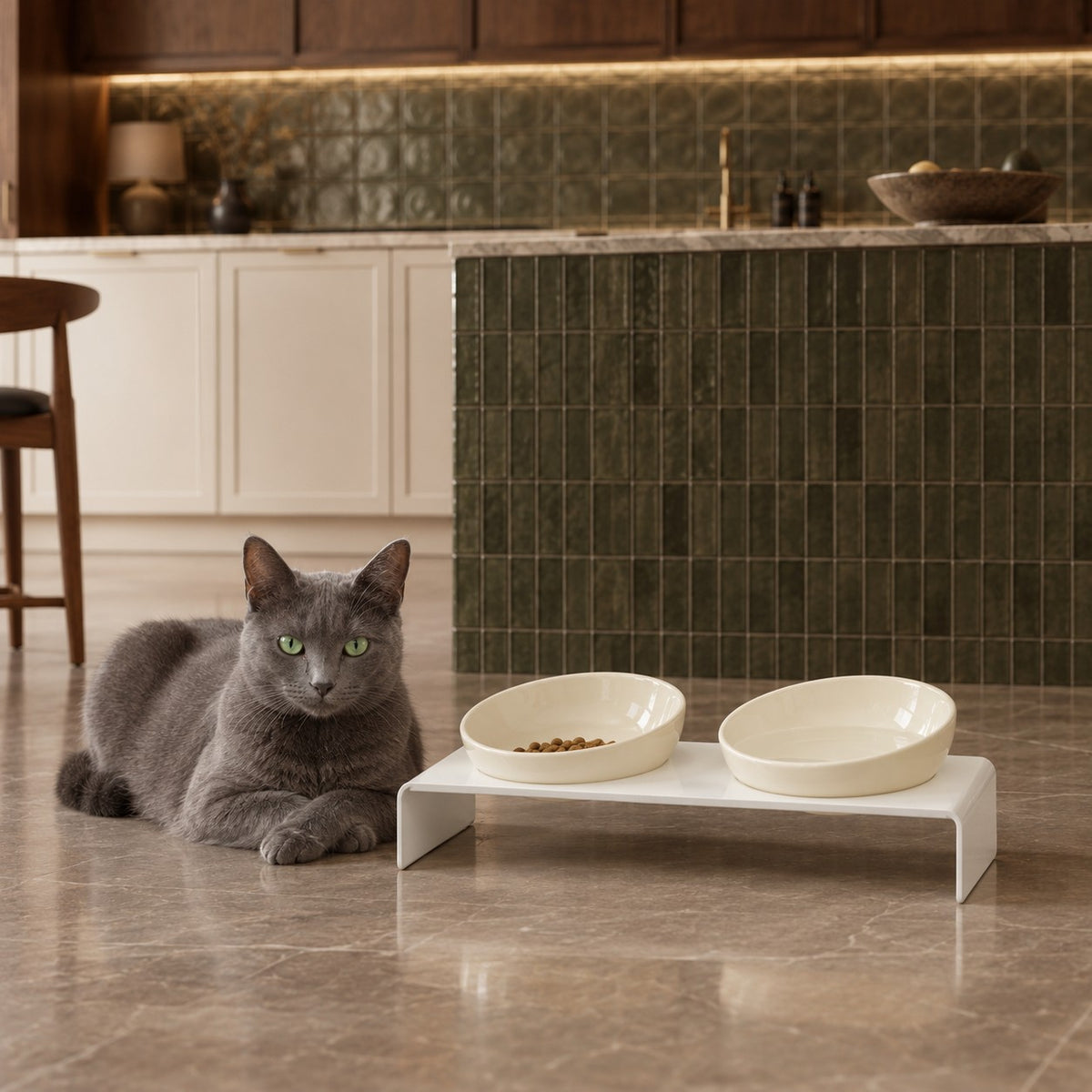 Double gamelle inclinée chat Zurich Bofélin 17