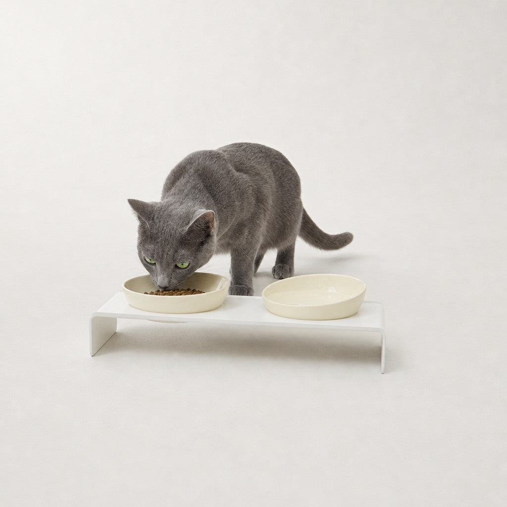 Double gamelle inclinée chat Zurich Bofélin 9
