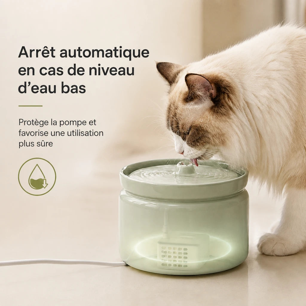 Fontaine à eau céramique chat Trente Bofélin en situation
