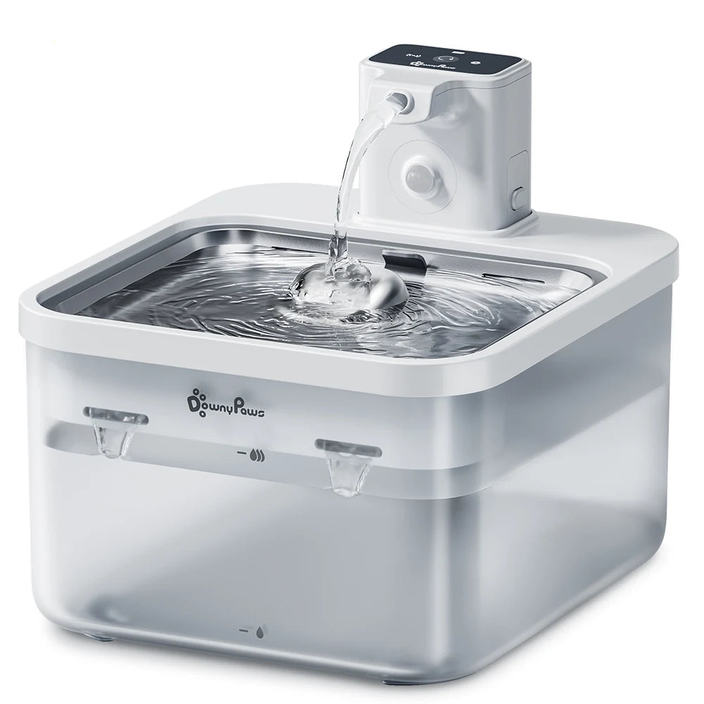 Fontaine à eau sans fil Bofélin en inox pour chat avec capteur de mouvement et réservoir de 2,5 litres