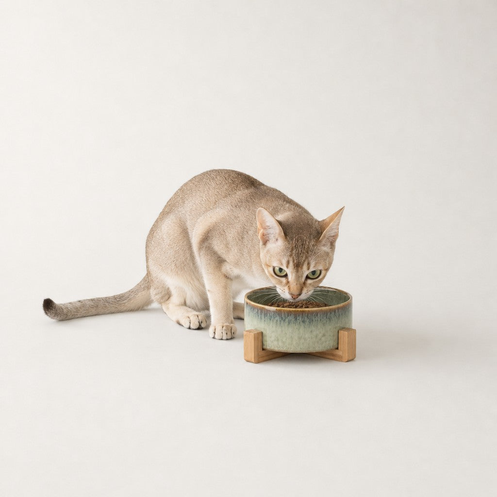 Gamelle céramique émaillée pour chat Moustiers Bofélin 10