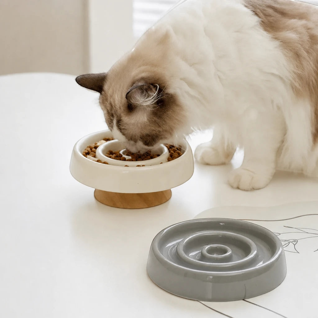 Gamelle chat anti glouton surélevée Odense Bofélin en situation