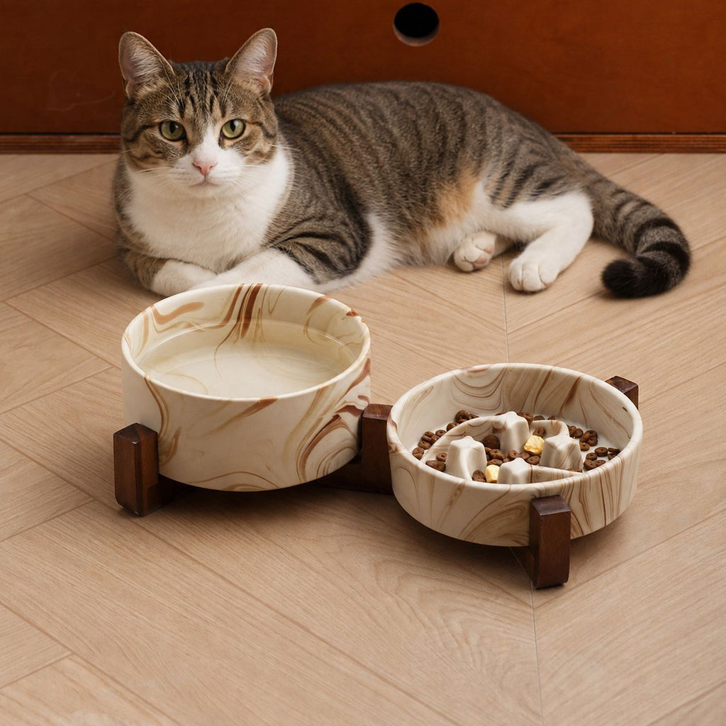 Gamelle chat céramique marbrée Carrare Bofélin 4