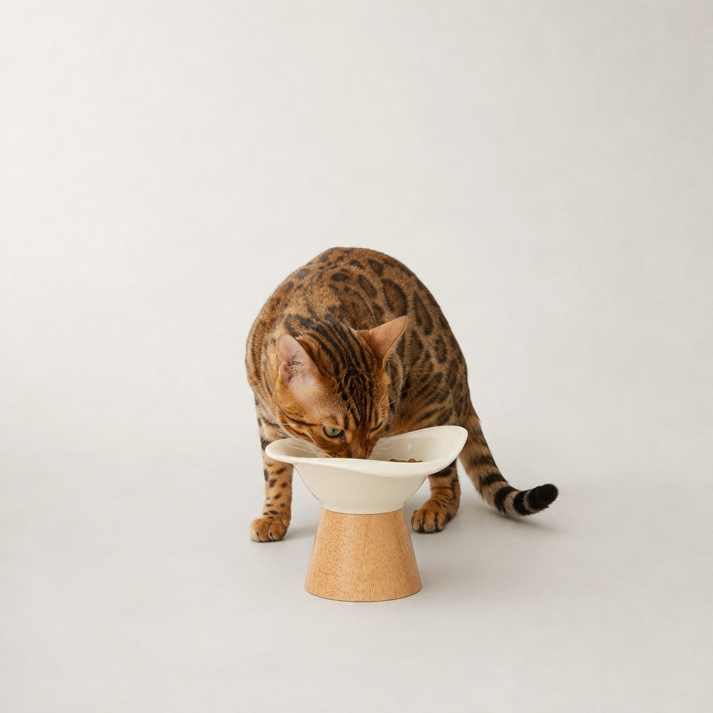 Gamelle chat design en céramique Biot Bofélin 9 Image