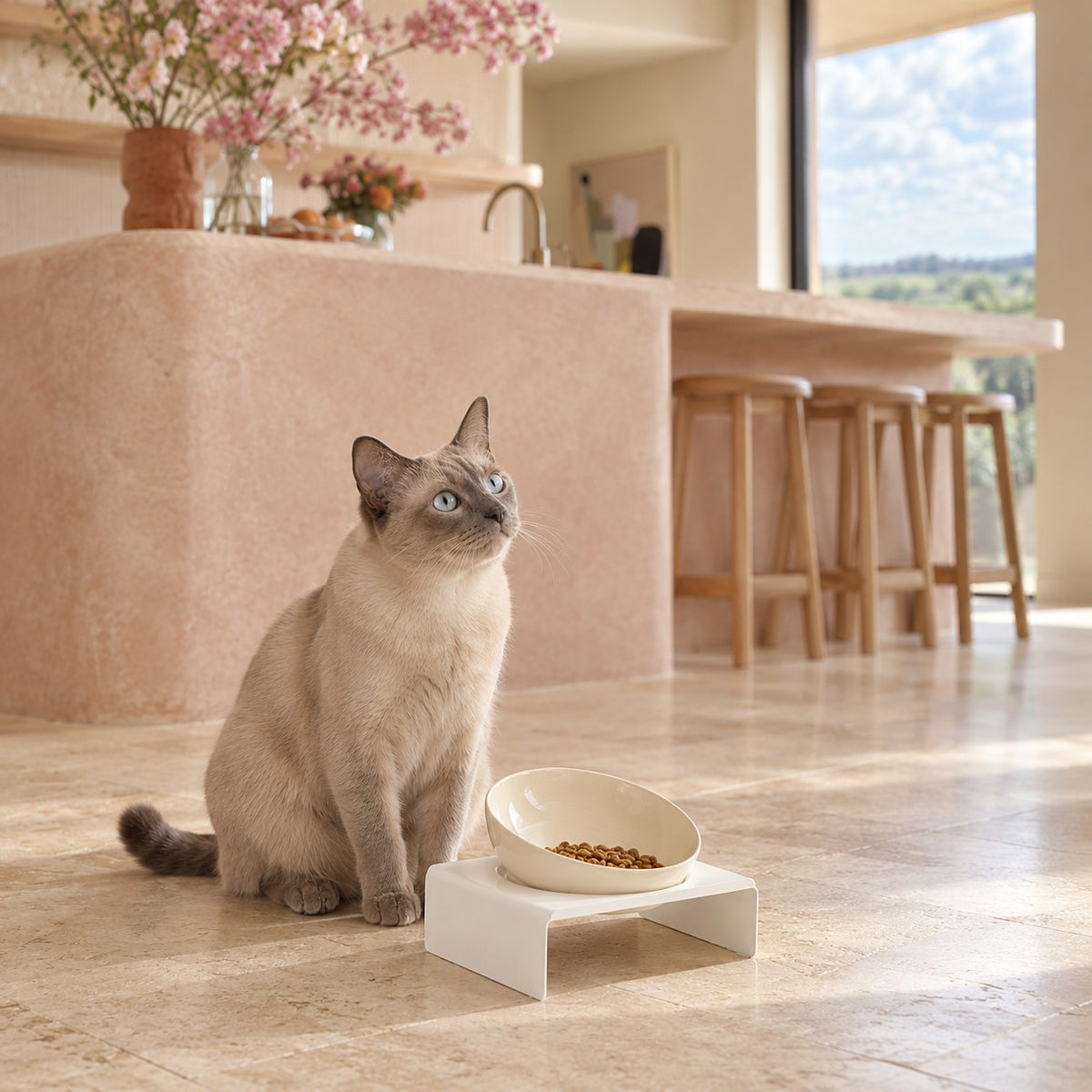 Gamelle inclinée chat en céramique Geneve Bofélin 12