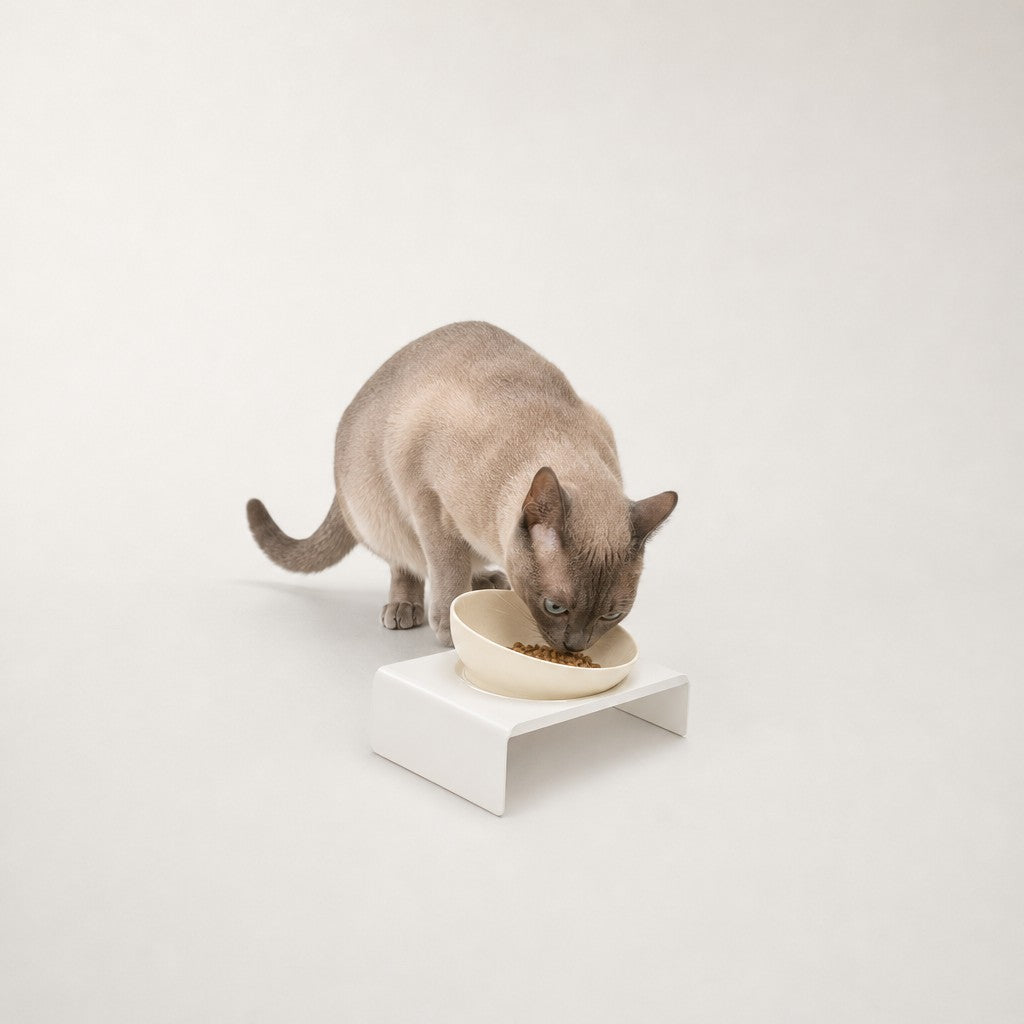 Gamelle inclinée chat en céramique Geneve Bofélin 7