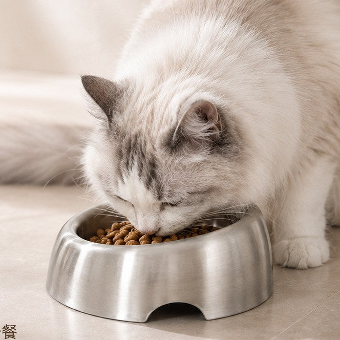 Gamelle inclinée inox pour chat Antibes Bofélin 2