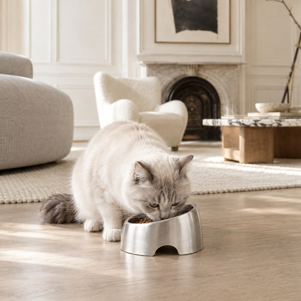 Gamelle inclinée inox pour chat Antibes Bofélin 7