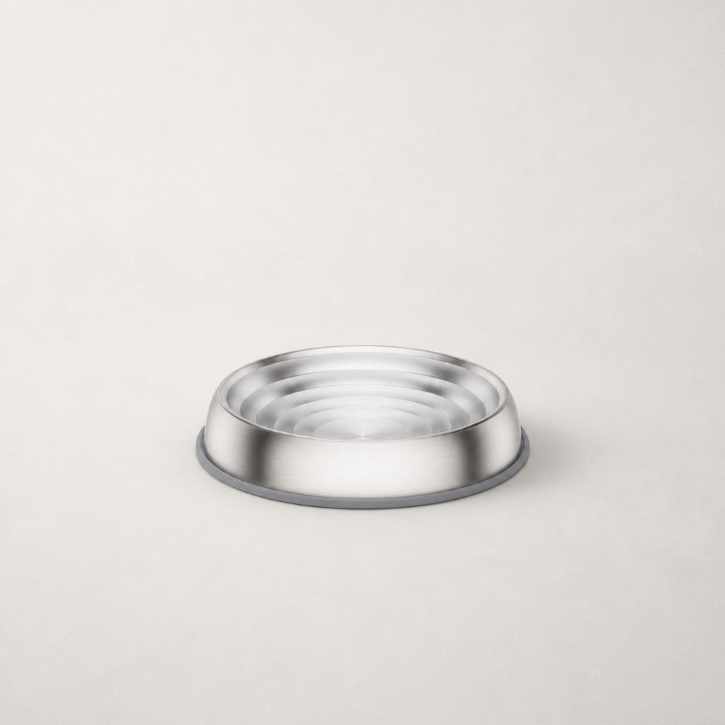 Gamelle inox large pour chat Rotterdam Bofélin 5