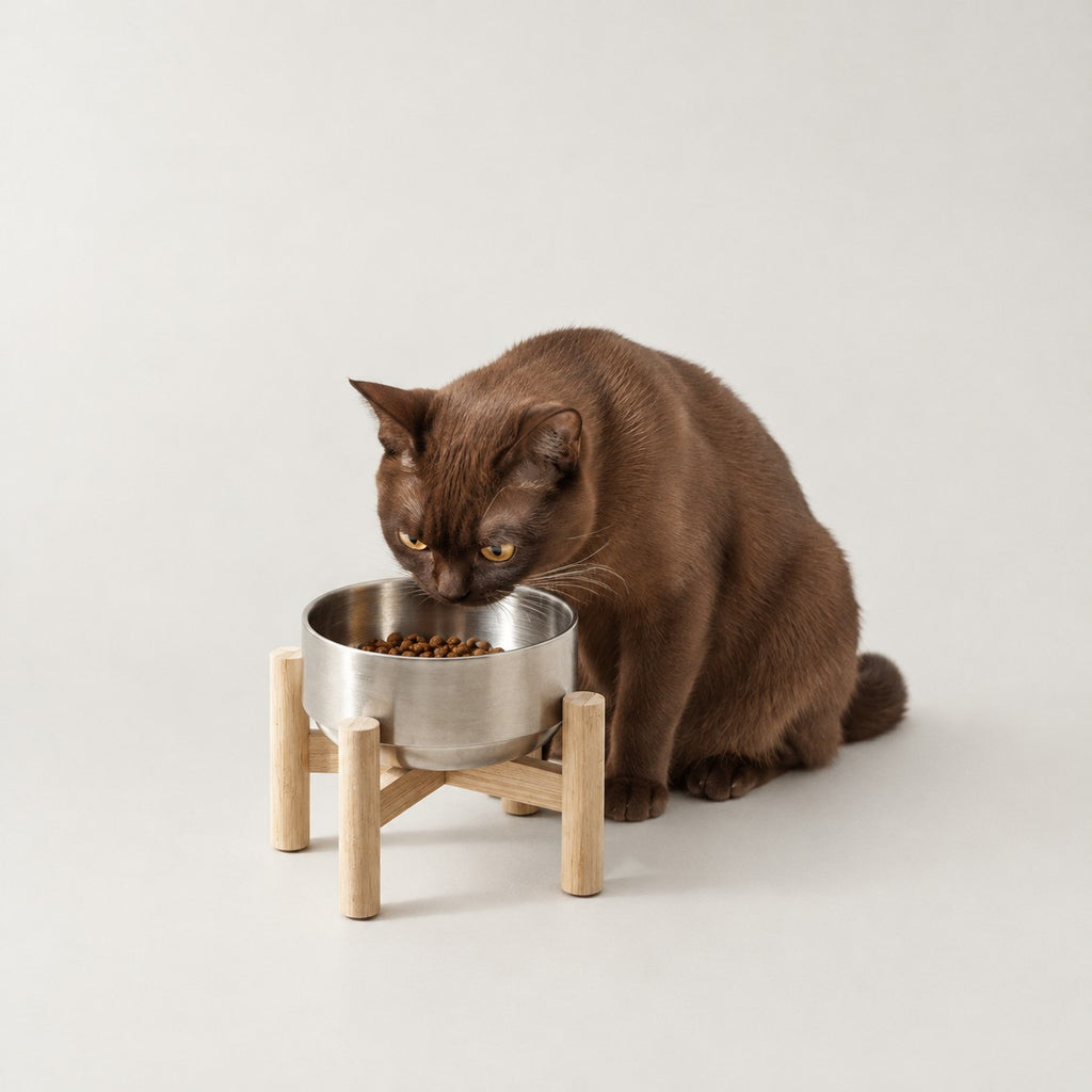 Gamelle inox surélevée sur support bois Lund Bofélin 6