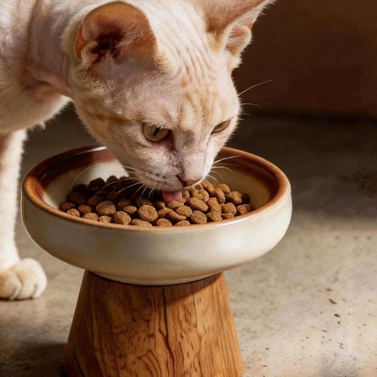 Gamelle surélevée chat céramique et bois Vallauris Bofélin