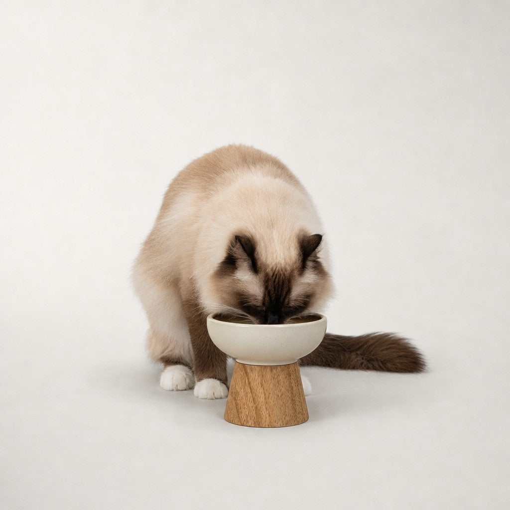 Gamelle surélevée chat céramique et bois Vallauris Bofélin 7 Image