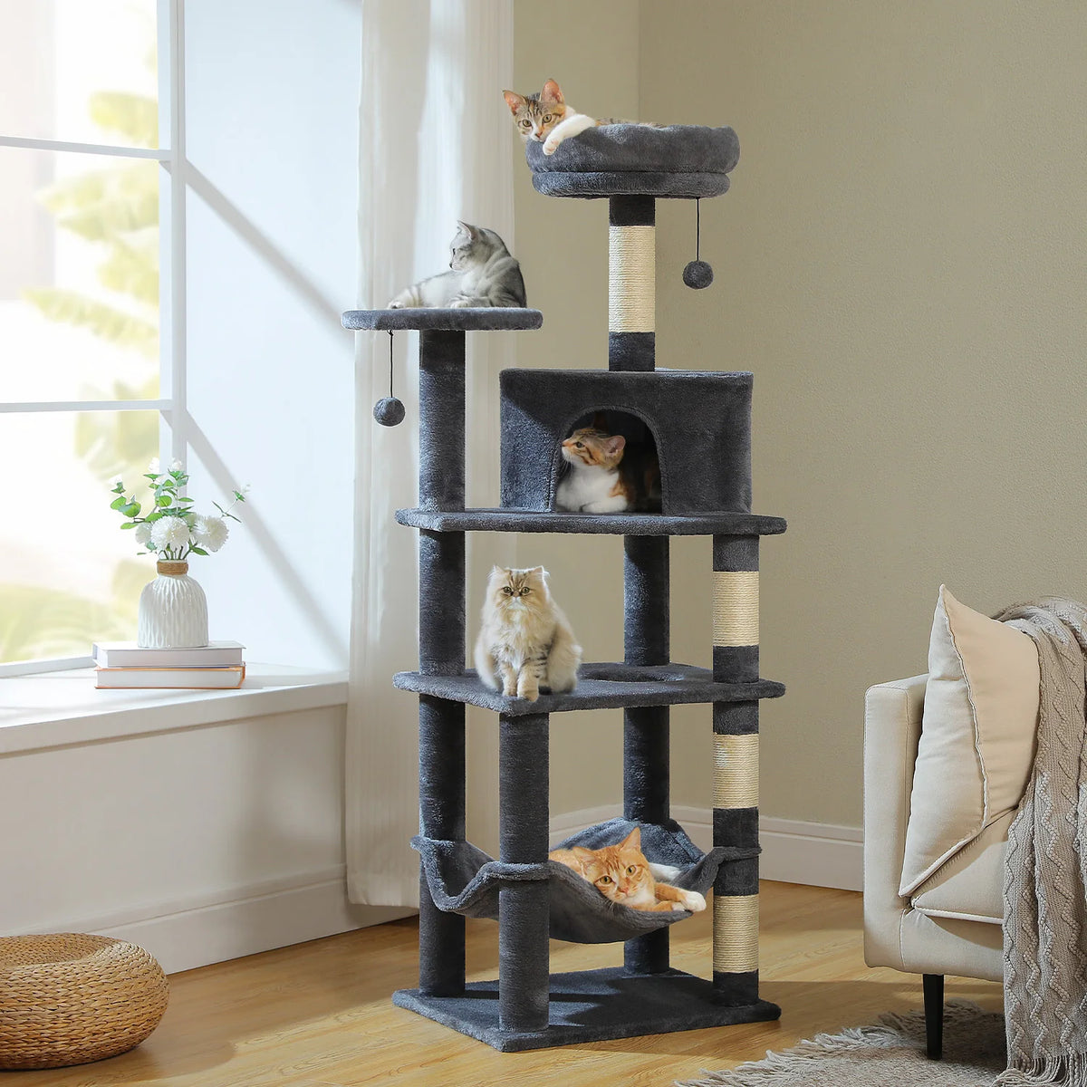 Grand arbre à chat avec grand hamac