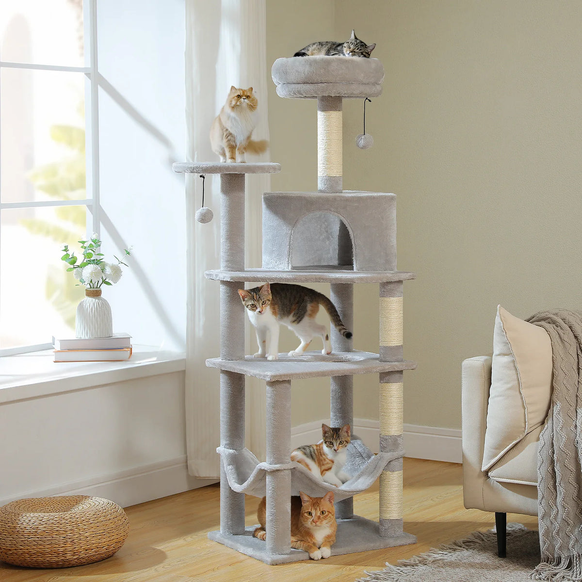 Grand arbre à chat avec grand hamac