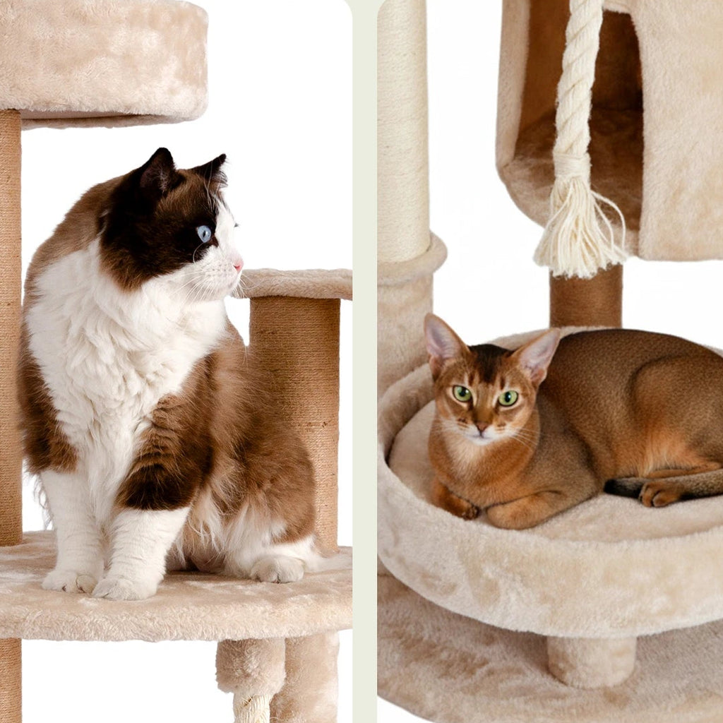 Grand arbre à chat rond - Bofélin - 17