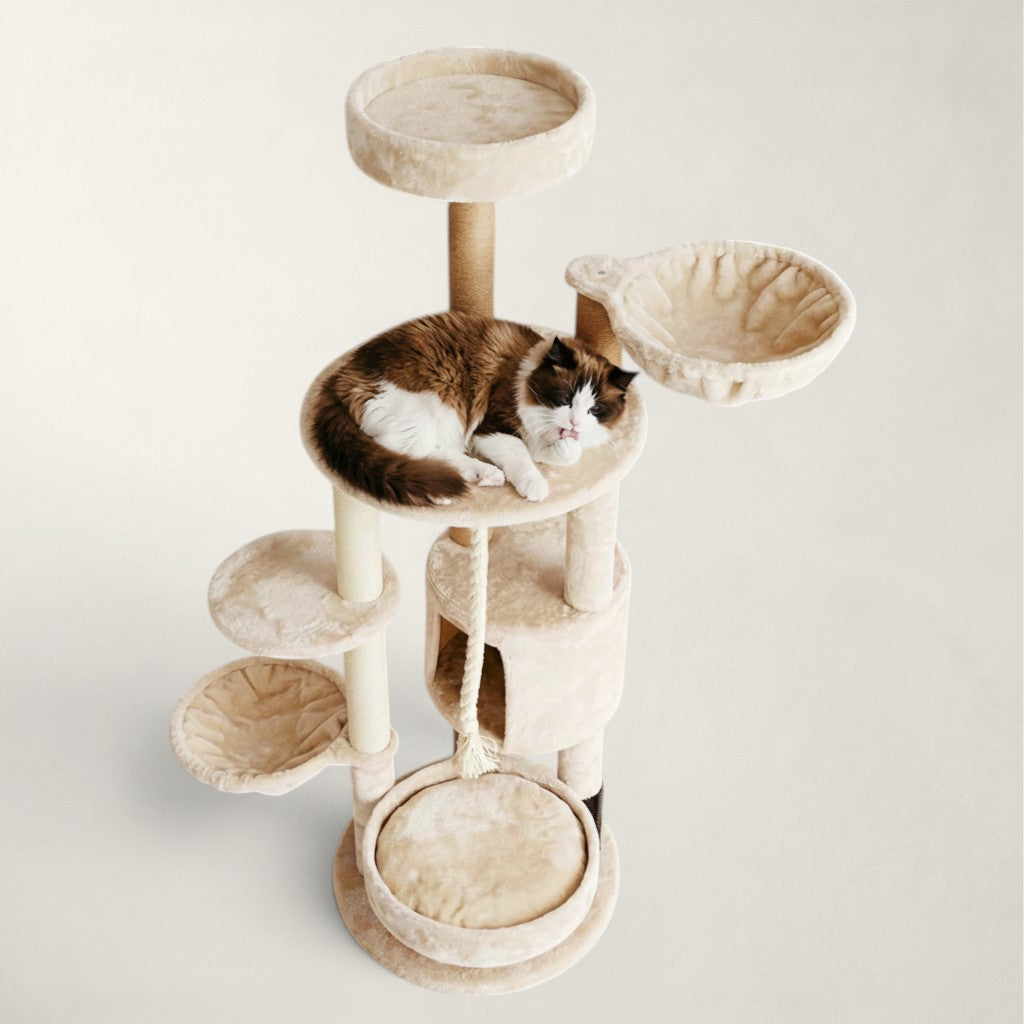 Grand arbre à chat rond - Bofélin - 14