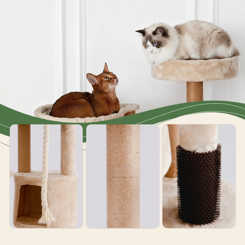 Grand arbre à chat rond - Bofélin - 16