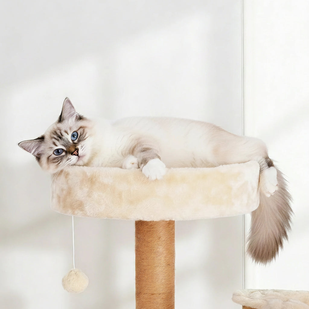 Grand arbre à chat rond - Bofélin - 7