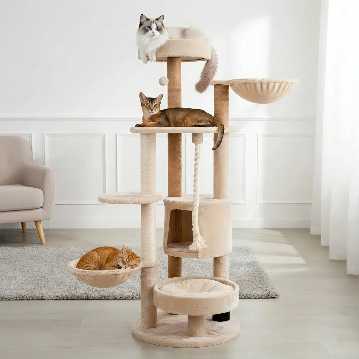 Grand arbre à chat rond