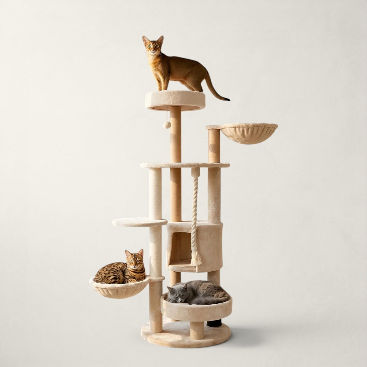 Grand arbre à chat rond - Bofélin - 13