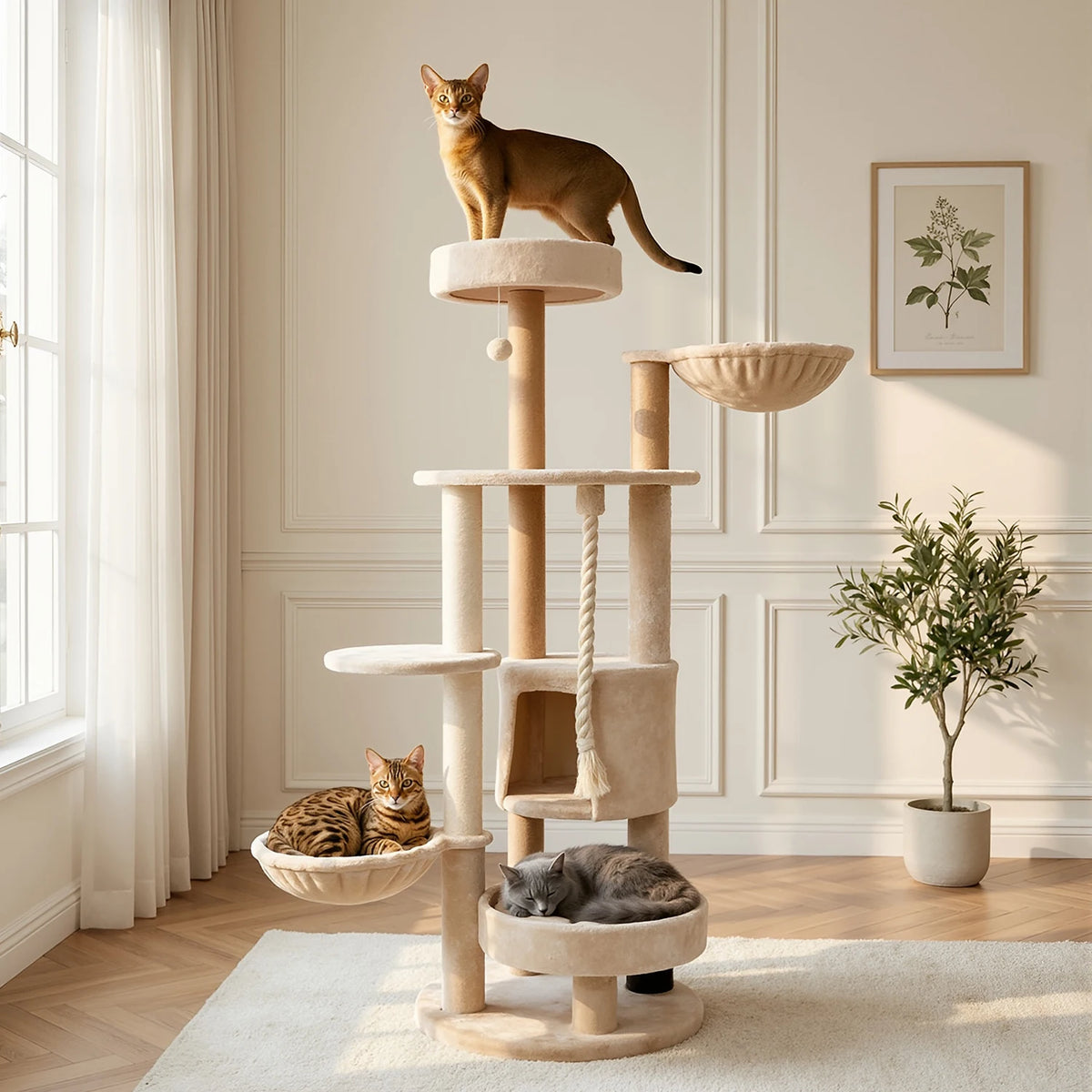 Grand arbre à chat rond