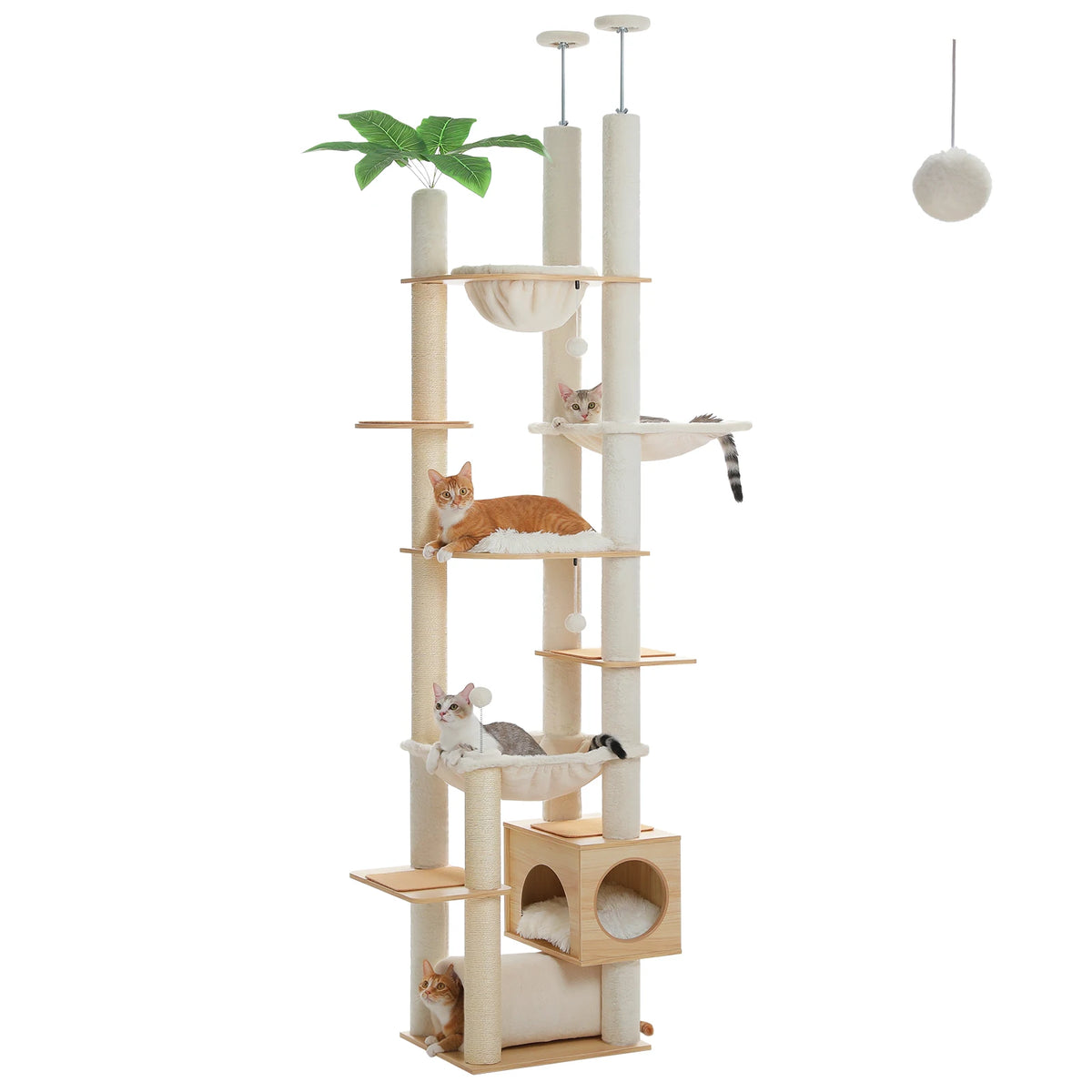 Grand arbre a chat sol plafond beige