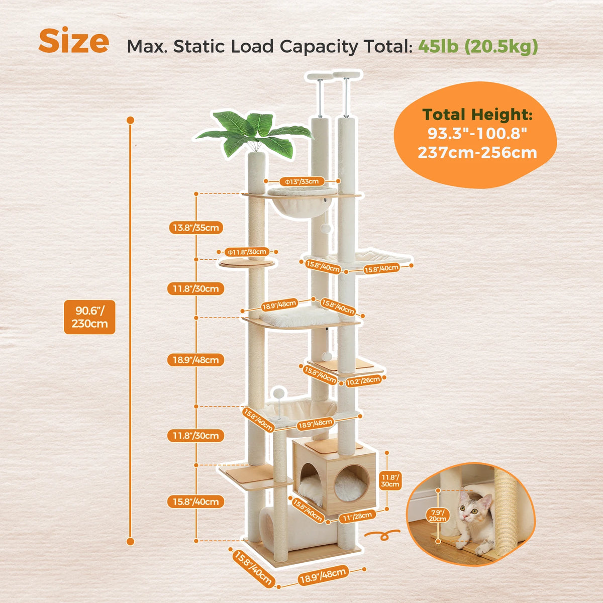 Grand arbre a chat sol plafond beige
