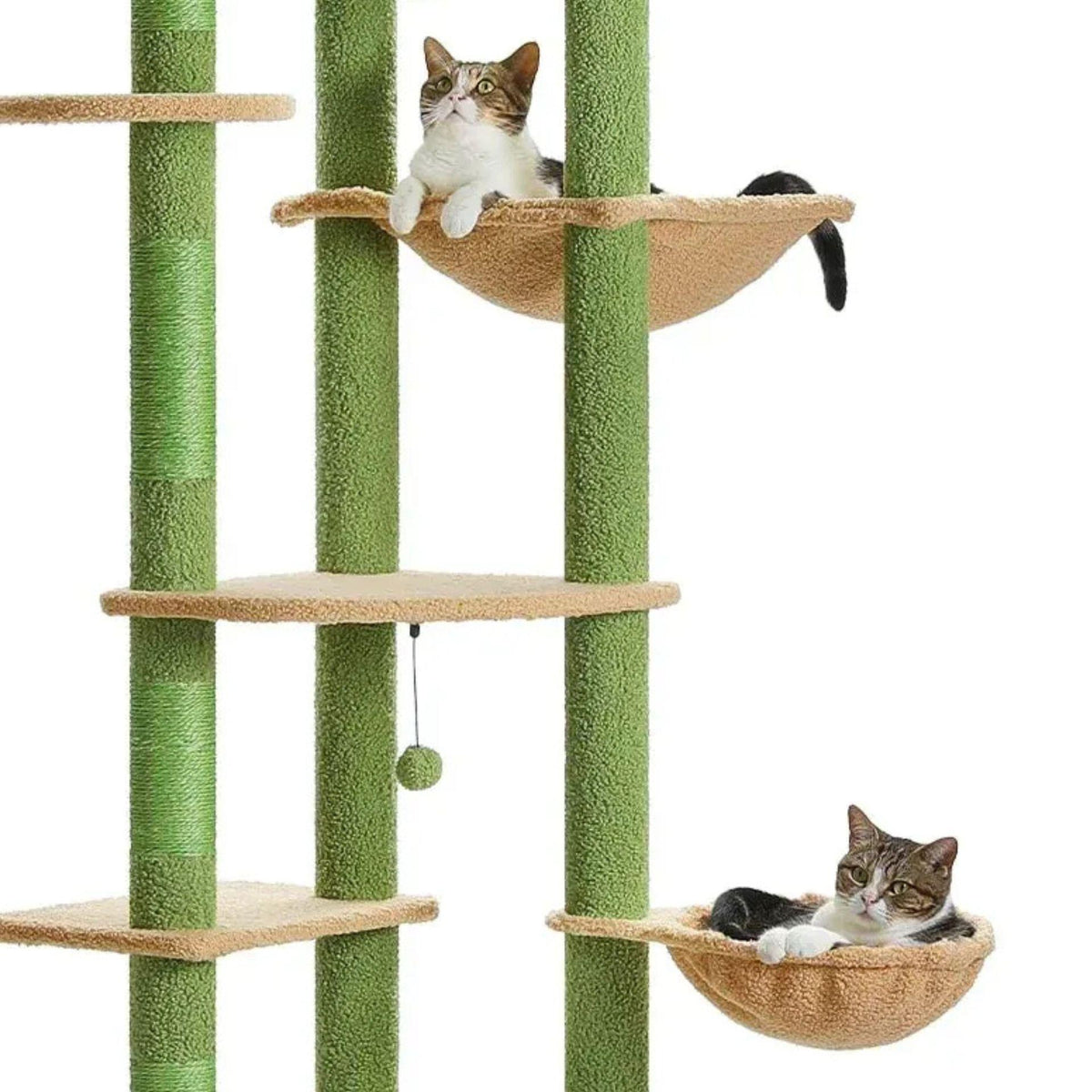 Grand arbre a chat sol plafond vert