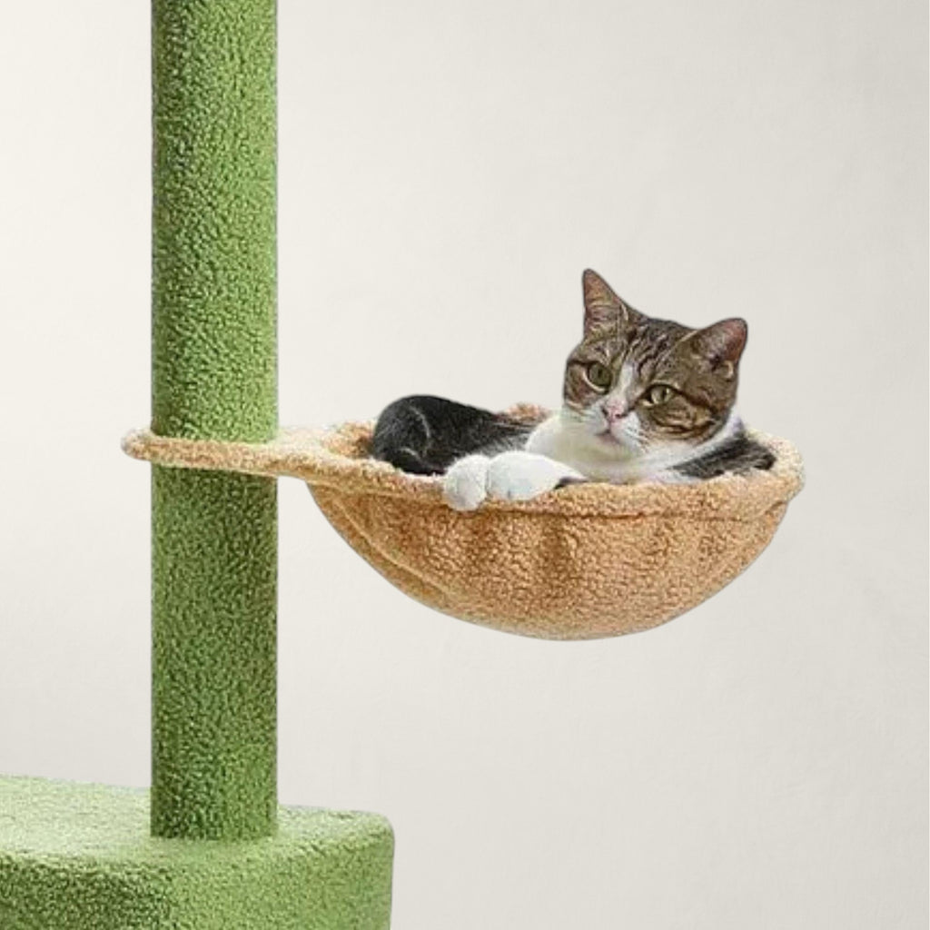 Grand arbre à chat sol plafond vert - Bofélin - 11