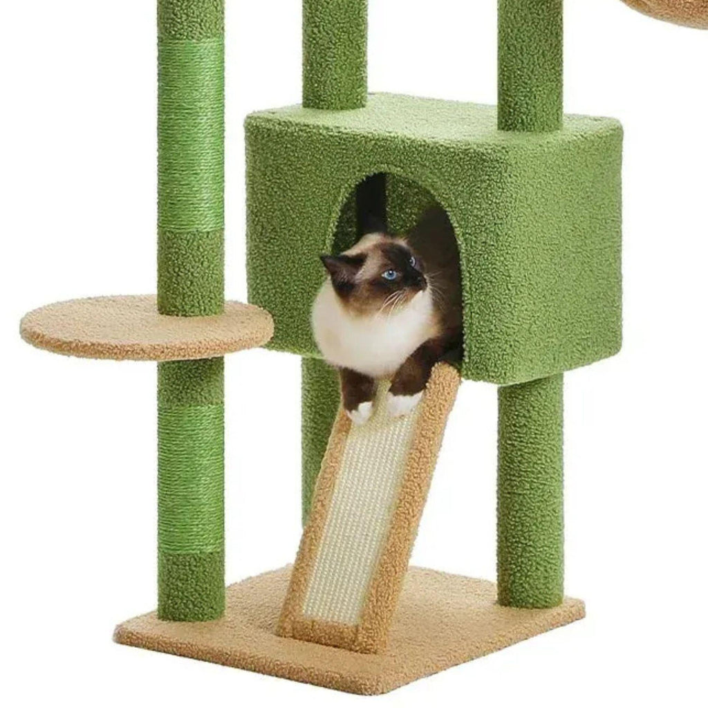 Grand arbre à chat sol plafond vert - Bofélin - 12